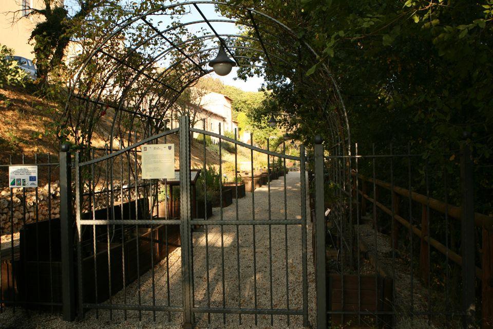 L'orto botanico